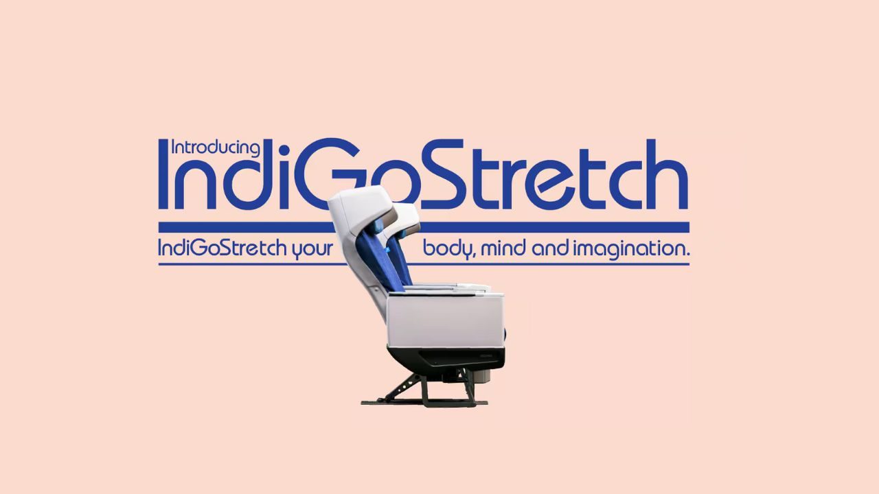 indigo-stretch